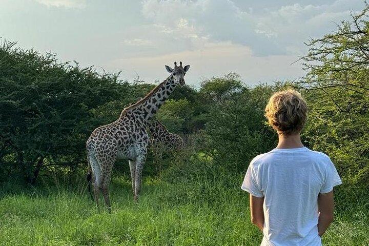 Private Walking Tour with Giraffes