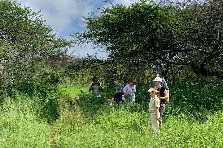Private Walking Tour with Giraffes