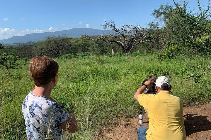 Private Walking Tour with Giraffes