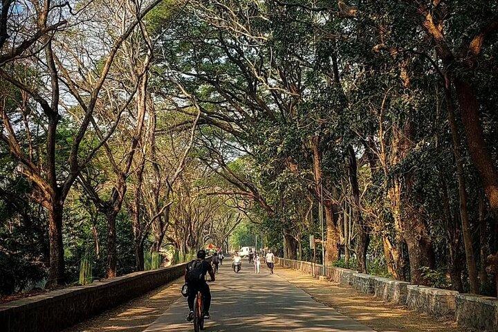Sanjay Gandhi National Park and Kanheri Caves Day Private Tour