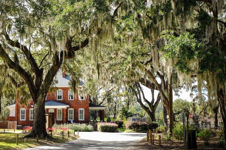 2-Hour Bonaventure Cemetery Walking Tour