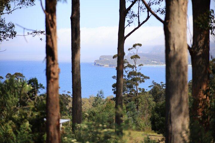 Tasman Peninsula Small-Group Guided Tour From Hobart