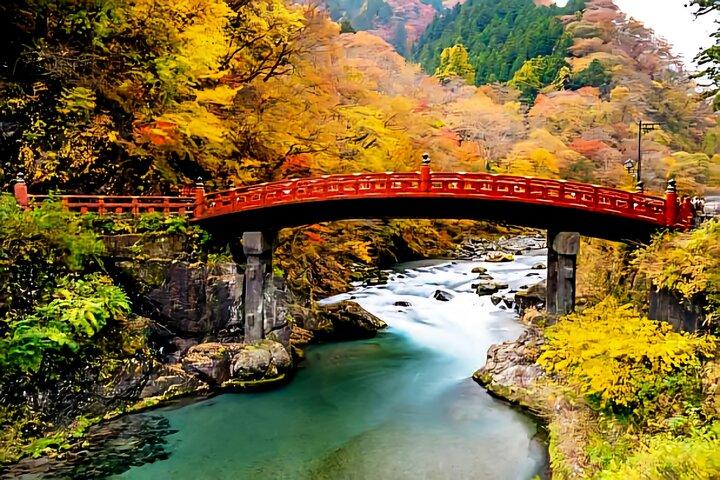 Nikko Full Day Private Tour with English-Speaking driver