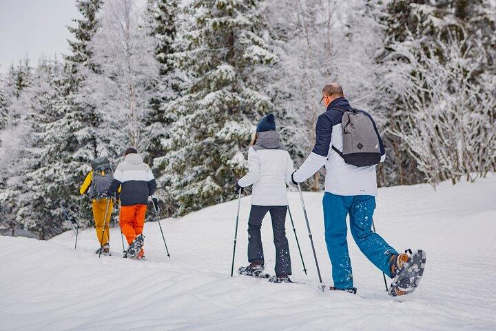Snowshoe Tour in Winter Wonderland - Oslo