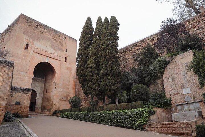Alhambra tour with Generalife Palace and gardens