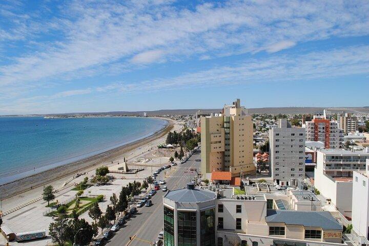 Shore Tour Punta Loma & city tour cruise passengers Puerto Madryn