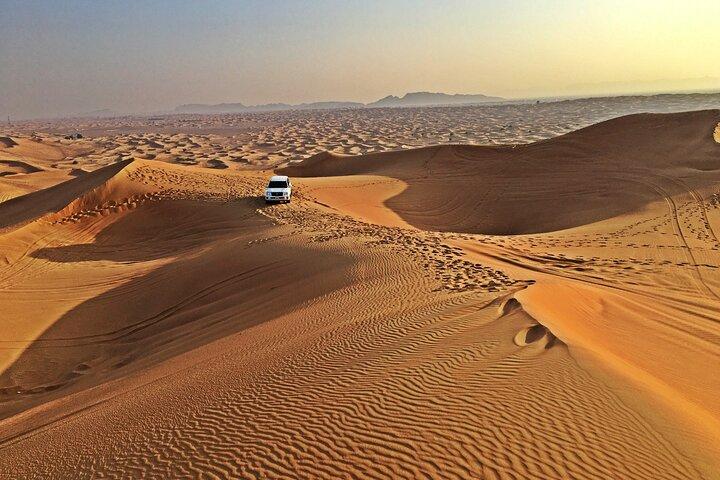Premium Camp Red Dune Desert Safari Camel Ride and Sandboarding