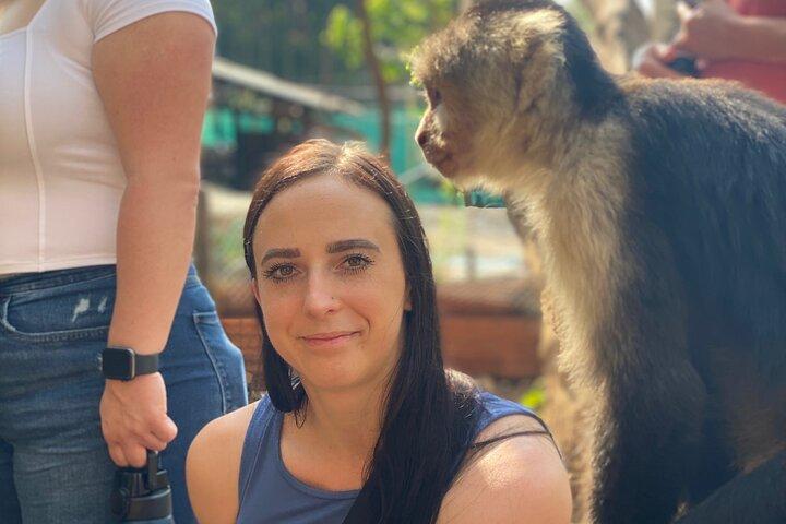 Monkey Crocodile Sloths and Beach Experience