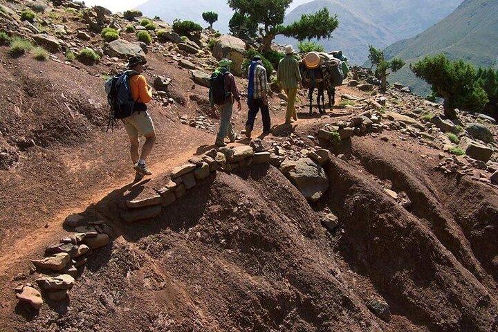 2 Days Atlas Mountains Trek, Two Valleys & Berber villages