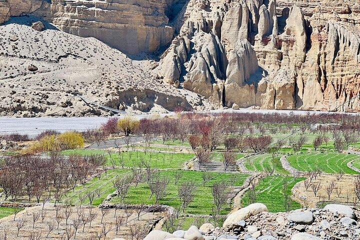 Jeep Trip to Upper Mustang