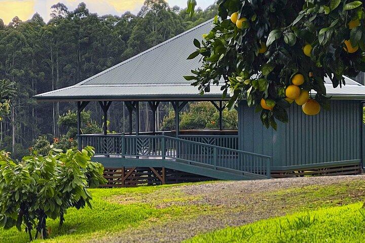 Big Island: Craft Chocolate Tasting and Farm Tour in Hilo