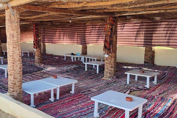 3 Days and 2 Nights Shared Experience in Siwa from Cairo