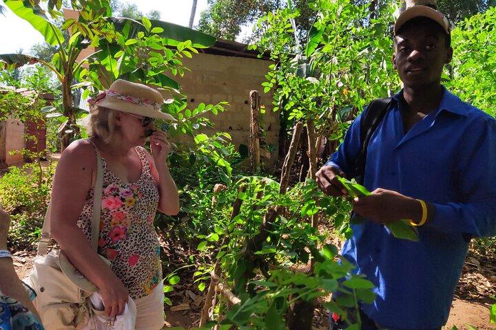 Zanzibar: Day Spice Farm,Reef and Beach Submarine Tour
