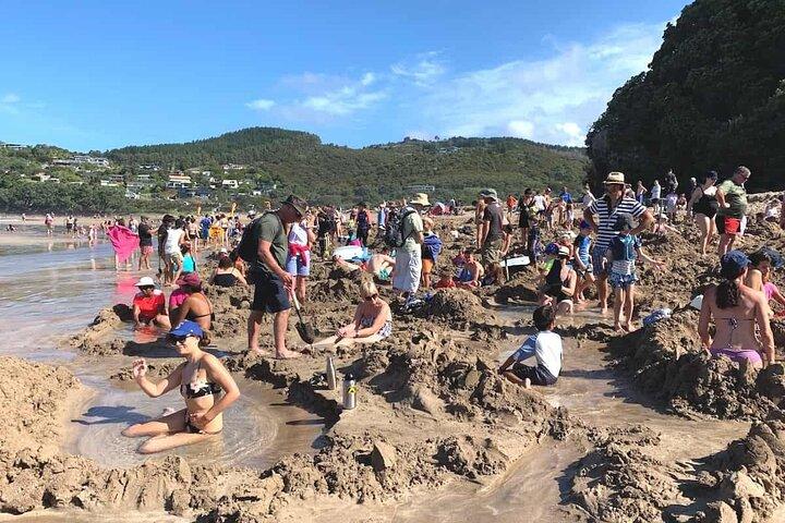 Cathedral Cove and Hot Water Beach Private Tour