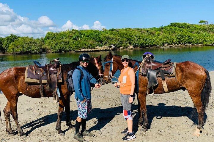 Punta Cana Horseback Ride: Jungle, Macao Beach & Free Pick Up