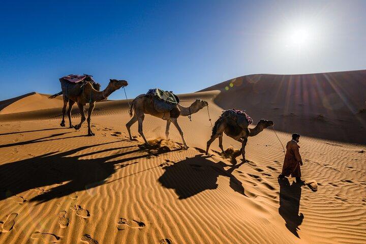 Dubai Evening Desert Safari with RedDune, sandboarding, live show