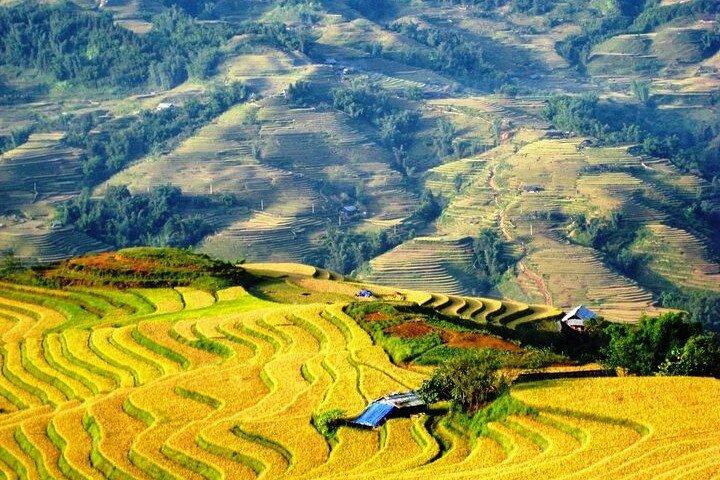 1 Day Sapa Tour Explore Y Linh Ho And Lao Chai And Ta Van Village