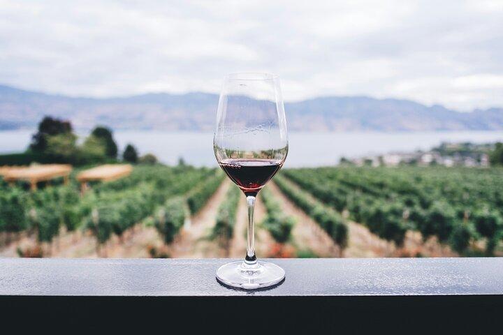 Private Wine Cellar Tour Near Rome