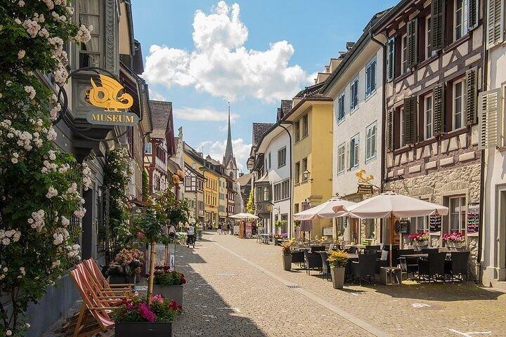 Rhine Falls and Stein am Rhein Adventure from Zurich
