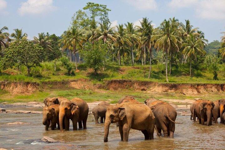 Bangkok: Safari world & Marine park