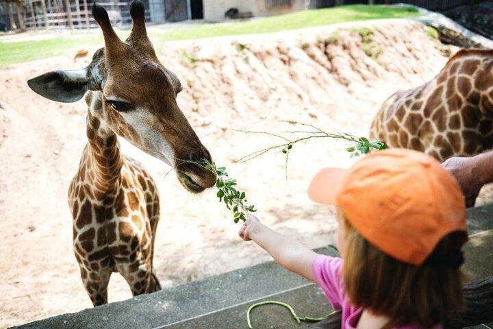 Bangkok: Safari world & Marine park