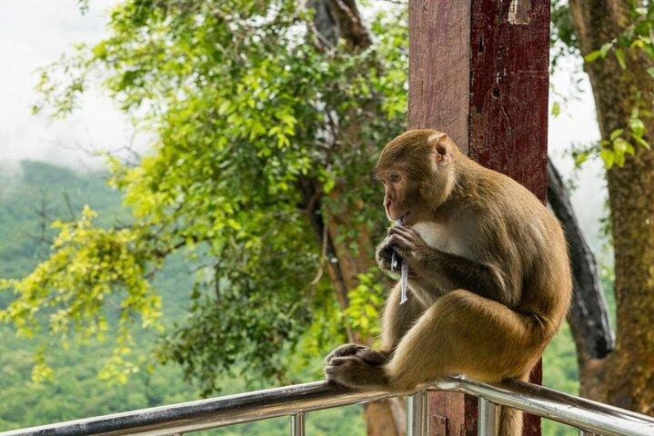 Bangkok: Safari world & Marine park