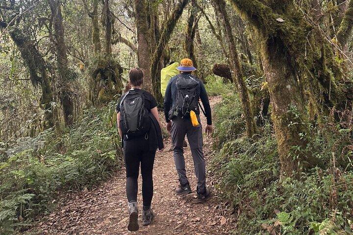 Private One-Day Trek to Mount Kilimanjaro