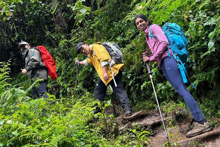 Private One-Day Trek to Mount Kilimanjaro