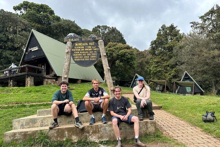 Private One-Day Trek to Mount Kilimanjaro