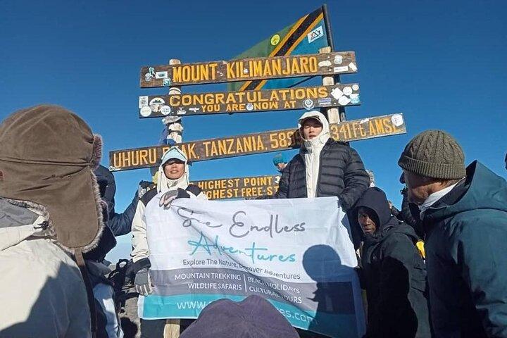 Private One-Day Trek to Mount Kilimanjaro