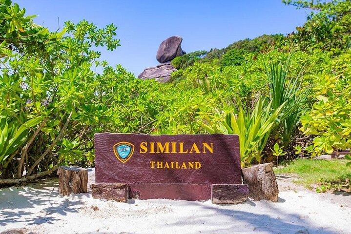 Similan Islands Day Trip by Speedboat from Khaolak/Phuket
