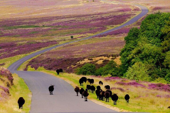 North York Moors with Steam Train to Whitby
