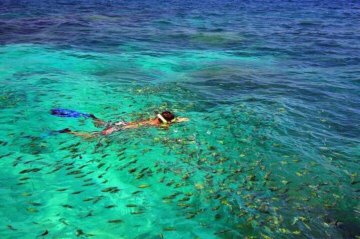 Similan Islands Day Trip by Speedboat from Khaolak/Phuket