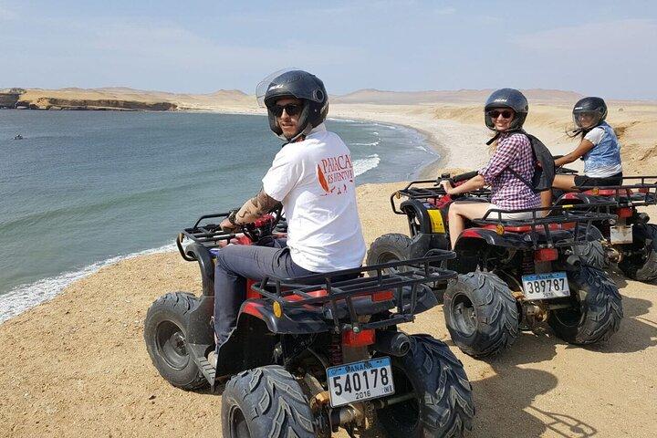 Paracas: ATV/Quad Bike or Buggy on Paracas National Reserve