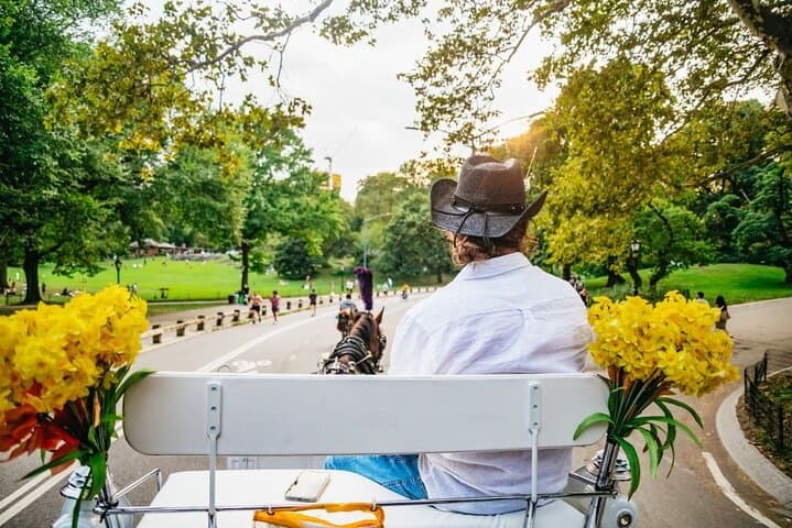 Private NYC Central Park Horse Carriage Ride (Guided) Since 1965™