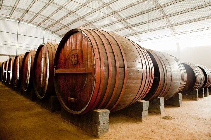 Ica : Wine & Pisco Tasting Tour - Wineward near Huacachina
