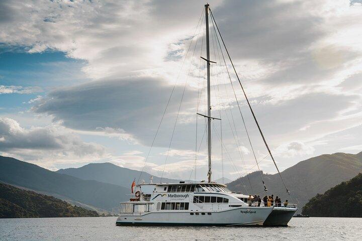 Marlborough Sounds Greenshell Mussel Tasting Cruise