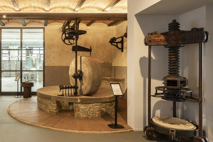Oil museum and oil mill in Tuscany: tour and tasting