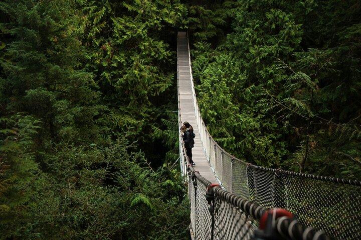 Guided Vancouver Hiking Highlights Day Tour with Gondola Download