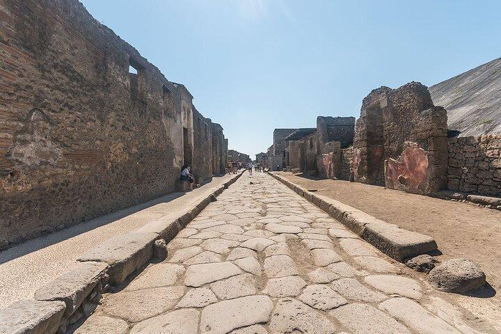 Naples to Sorrento with Pompeii guided tour or Vice Versa