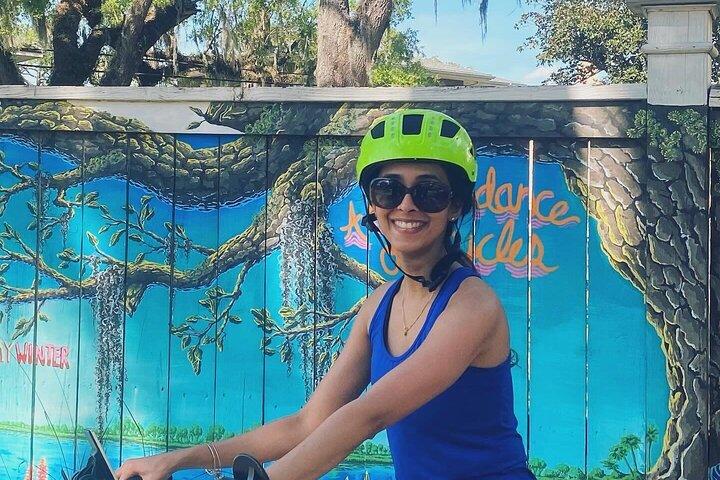 Electric Bike Tour with Free Application for Navigation
