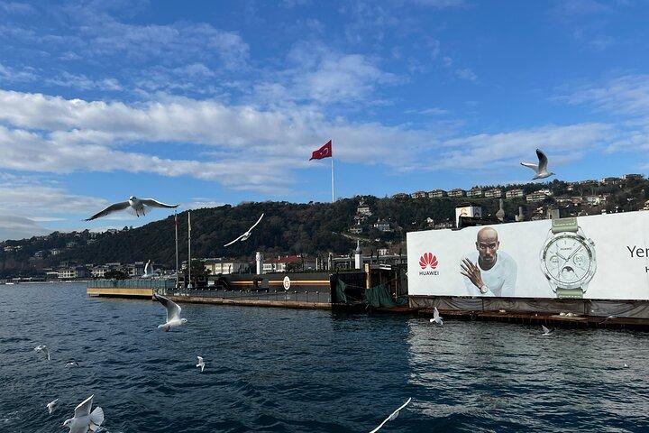 Experience Istanbul: Scenic Bosphorus Cruise with Lunch&Breakfast