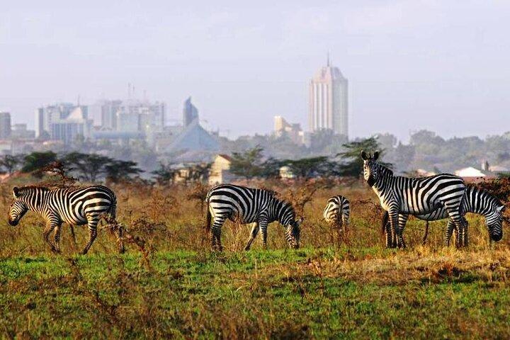 Full Day Tour Nairobi National Park, Giraffe Center ,Karen Blixen