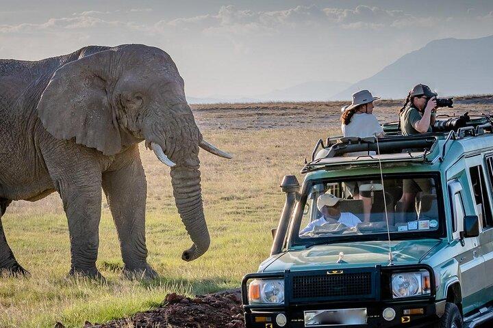 4 Day Amboseli Tsavo West and East Safari on 4x4 Landcruiser Jeep
