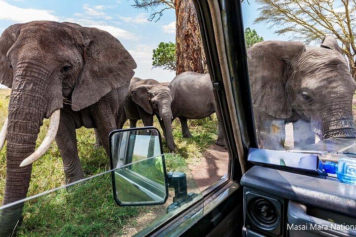 6 Days Masai Mara Serengeti and Ngorongoro on 4x4 Landcruiser