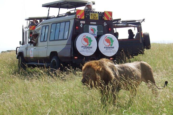 3 Days 8th Wonder Of The World with Maasai Mara Great Tour