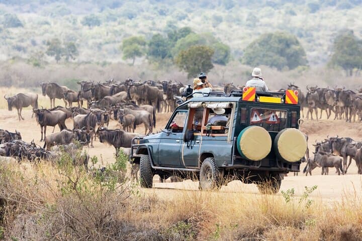 4-Days Masai Mara Safari Combined with Hot Air Balloon Ride