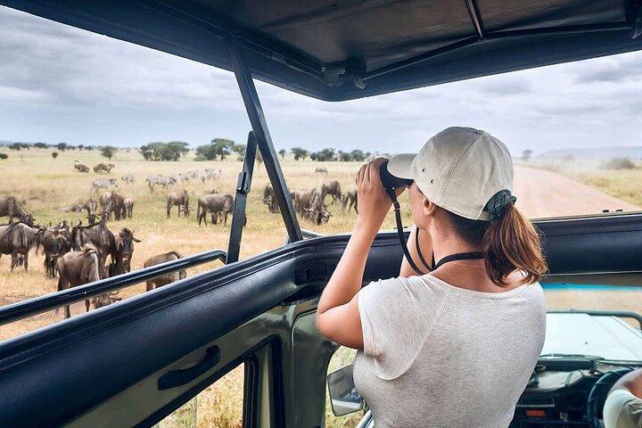 Explore Arusha in 7 Days Adventure from Nairobi