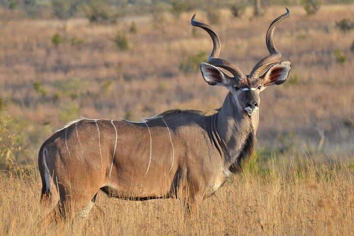 3 Days Tour to Tarangire, Ngorongoro and Materuni