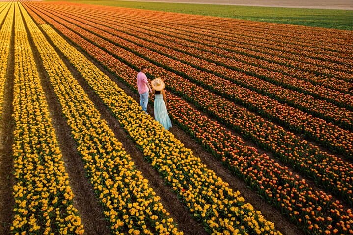 Keukenhof Tulip Gardens and Fields Tour From Amsterdam